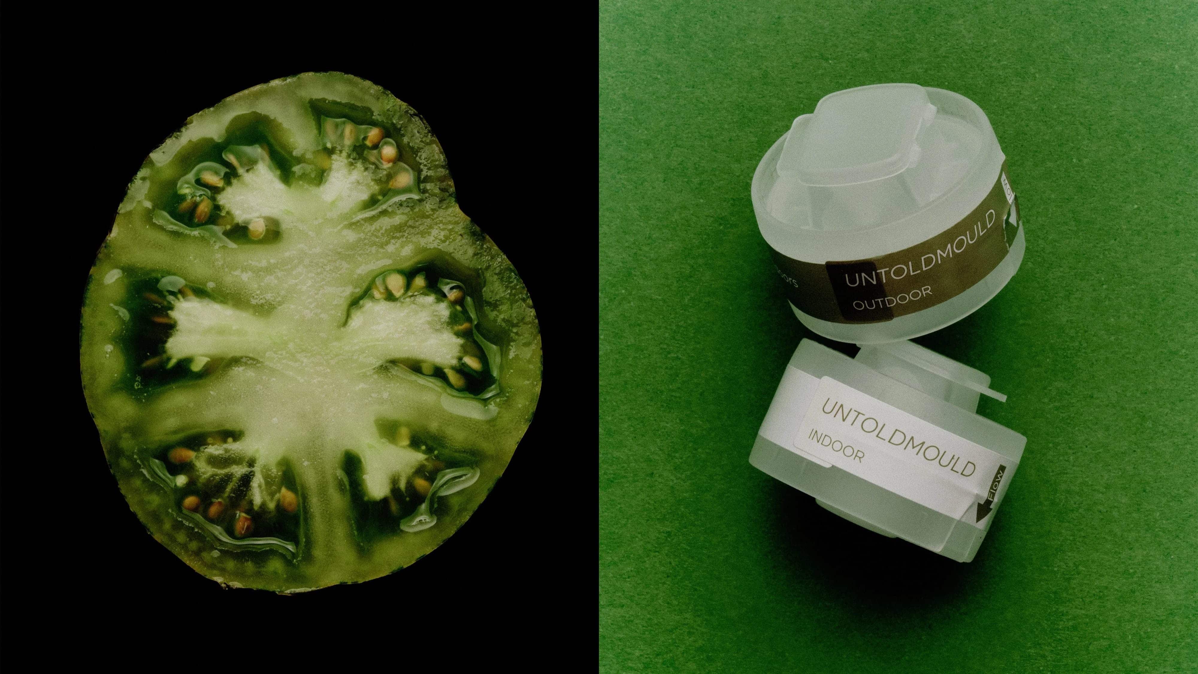 Green tomatoes and mould cassettes