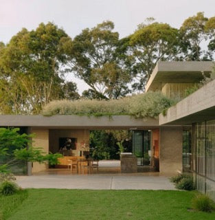 Why Mould Can Be a Problem in New Construction