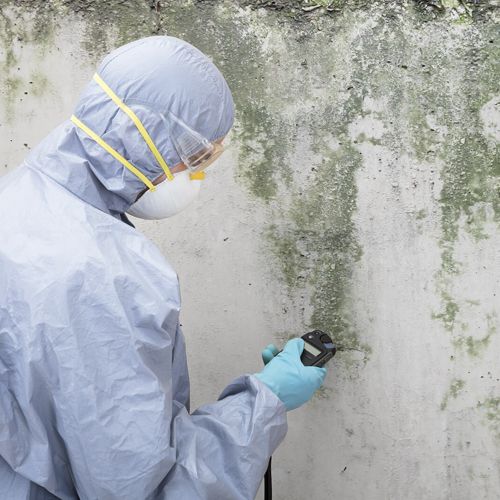 Getting A Remediator? Here's How It Works